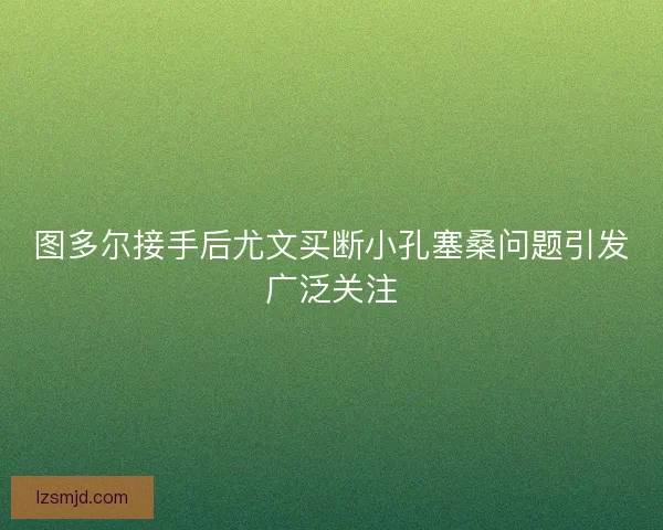 图多尔接手后尤文买断小孔塞桑问题引发广泛关注